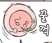 manga_2926633_001.webp