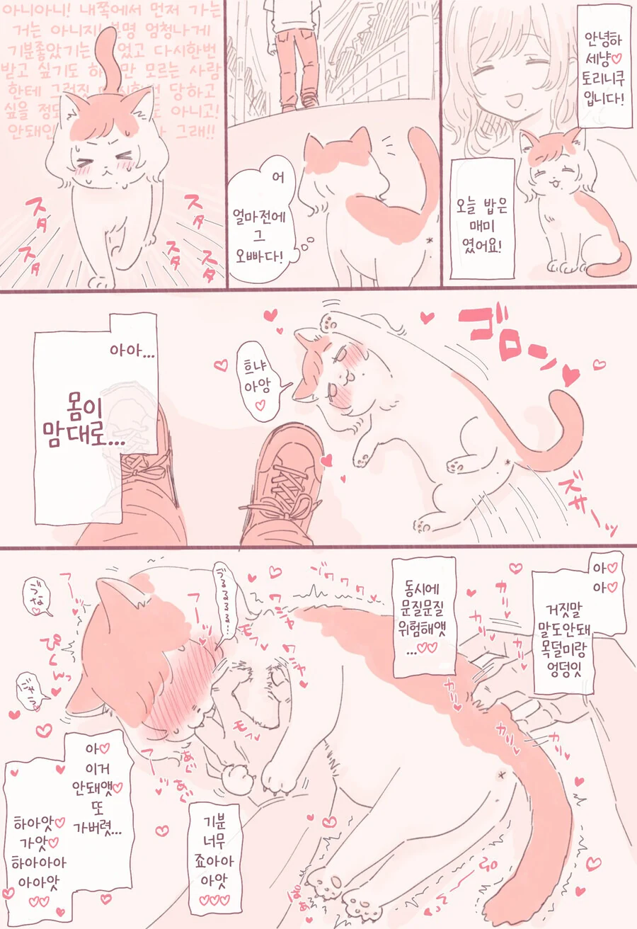 manga_3743097_001.webp