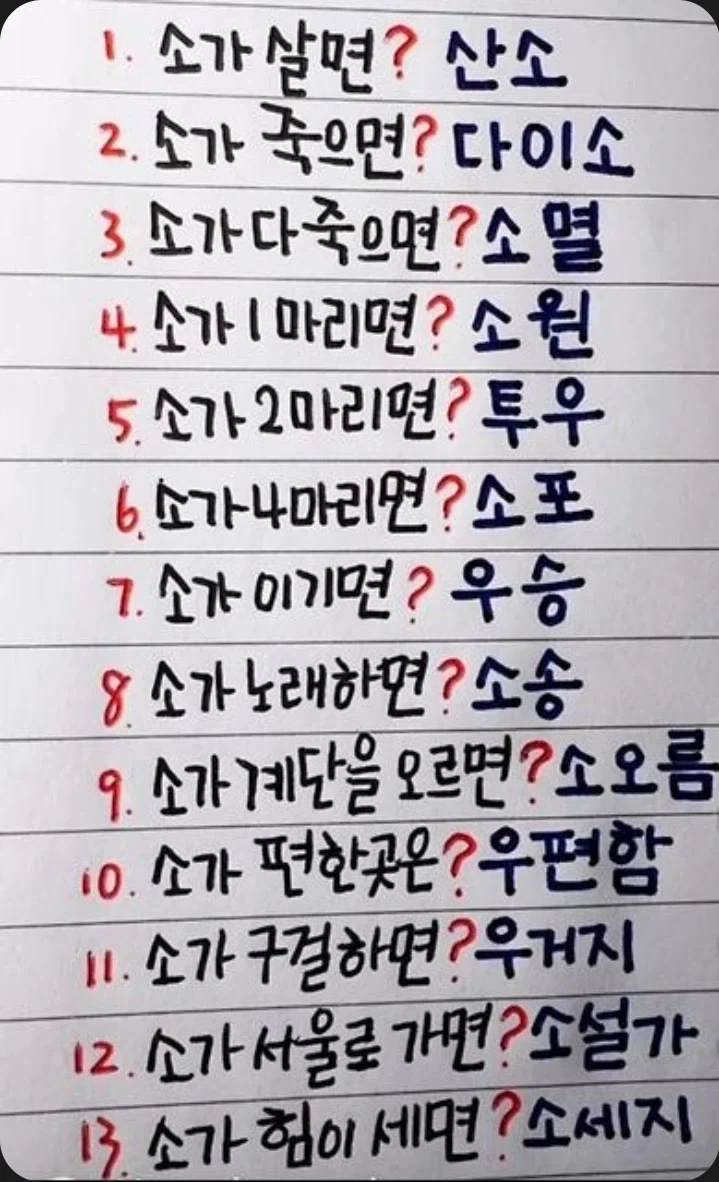 소가..jpg_1.webp
