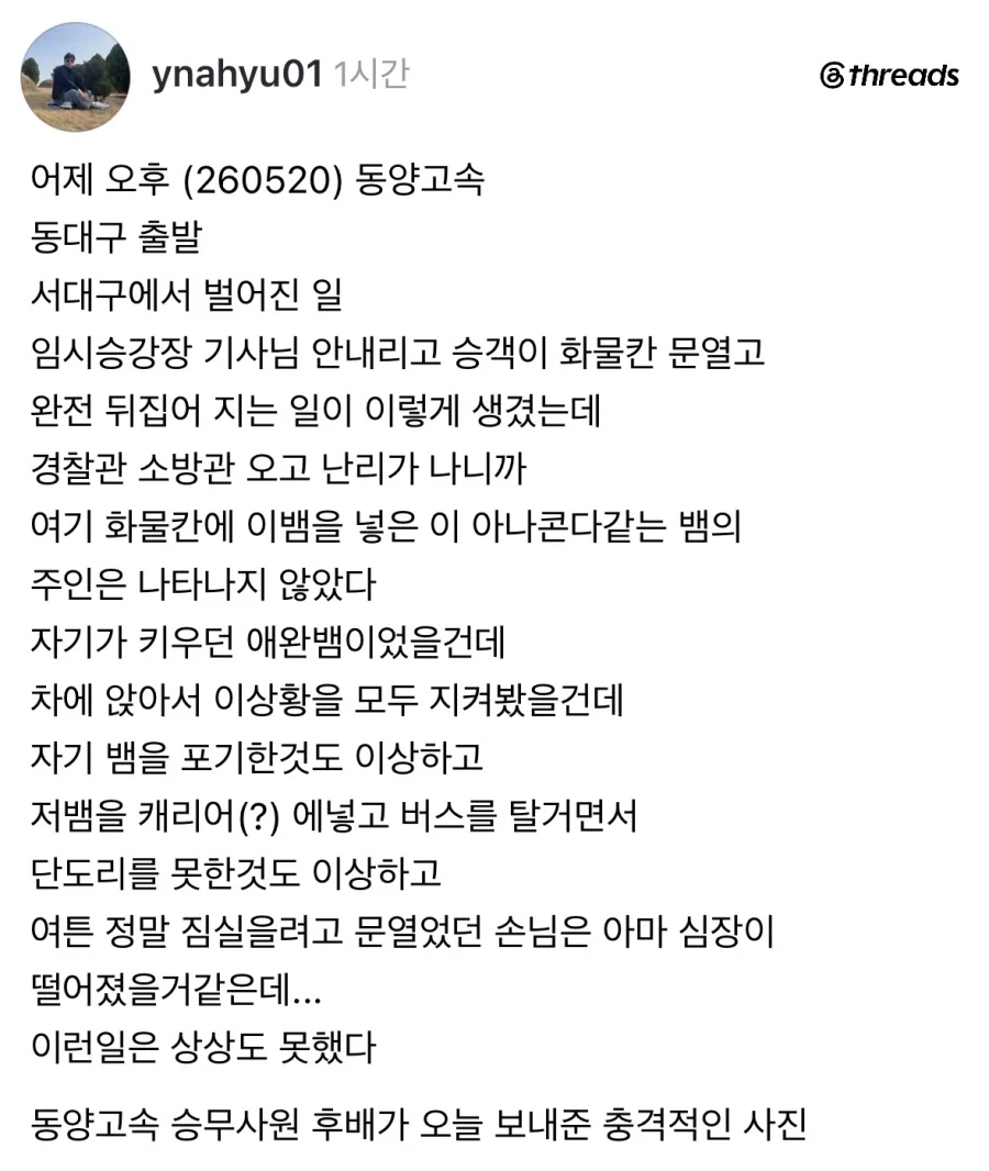 버스 화물칸에서 뱀이 튀어나옴.jpg_1.webp