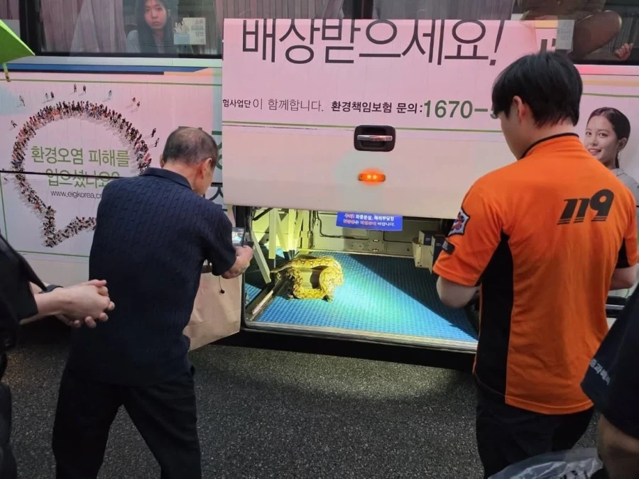 버스 화물칸에서 뱀이 튀어나옴.jpg_3.webp