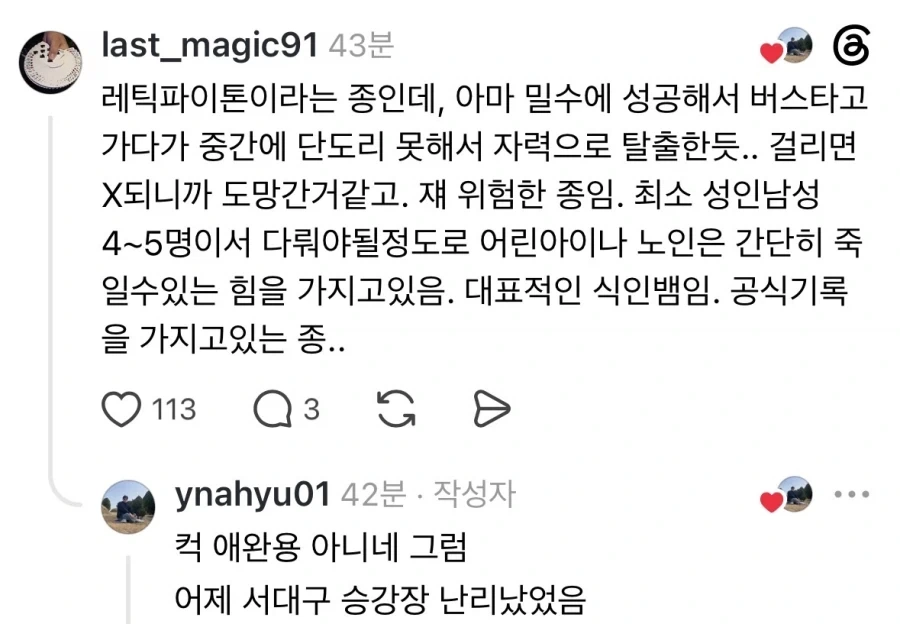 버스 화물칸에서 뱀이 튀어나옴.jpg_5.webp