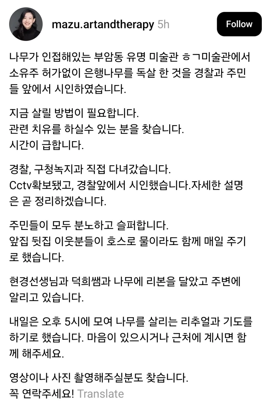 남의집 은행나무 독살시킨 유명 미술관_1.webp