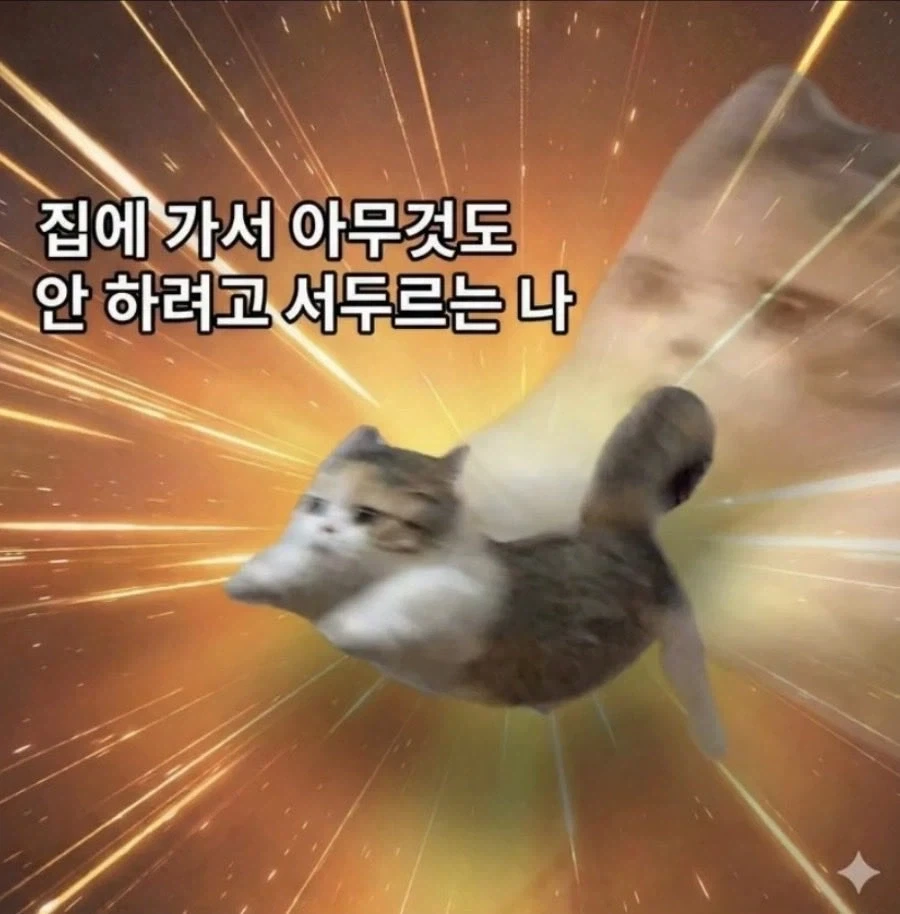 서둘러 퇴근하는 이유.jpg_1.webp