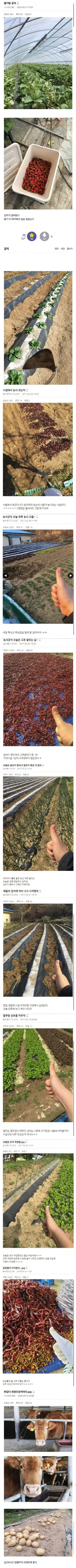 전설의 딸기밭 공익.jpg_1.webp