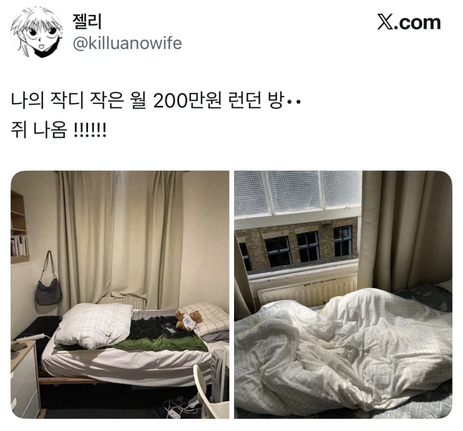 런던 월세방값이 월 200인 이유_1.webp