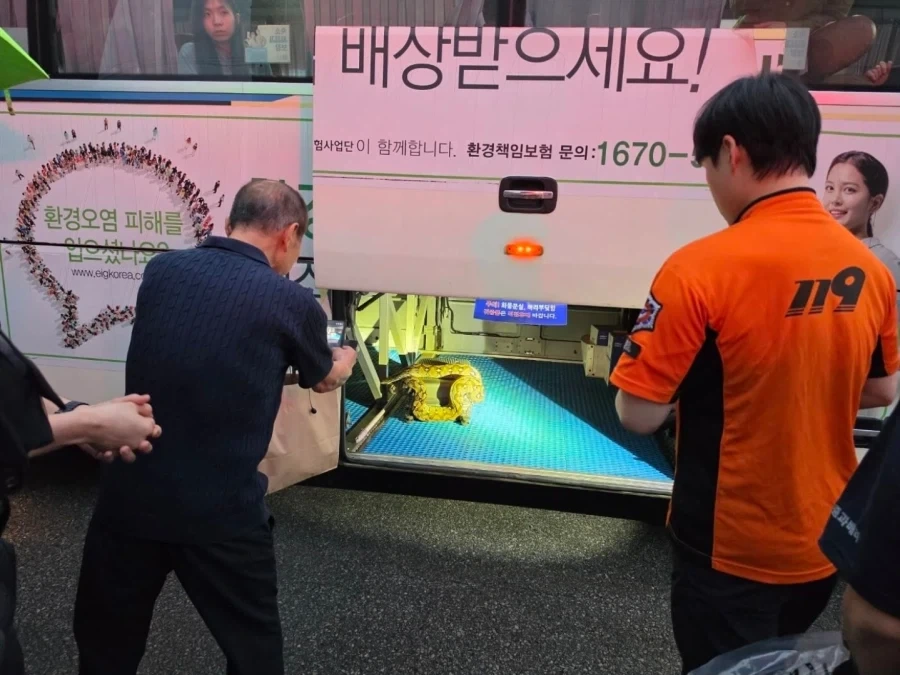 동남아 불법 밀항사를 조심해야하는 이유.jpg_2.webp