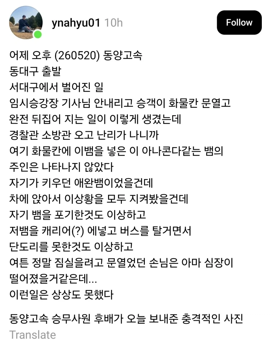 대구 버스 화물칸에서 뱀이 나옴.jpg_1.webp