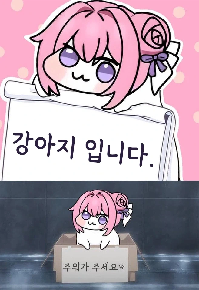 자신을 강아지라고 속이는 도로롱_1.webp