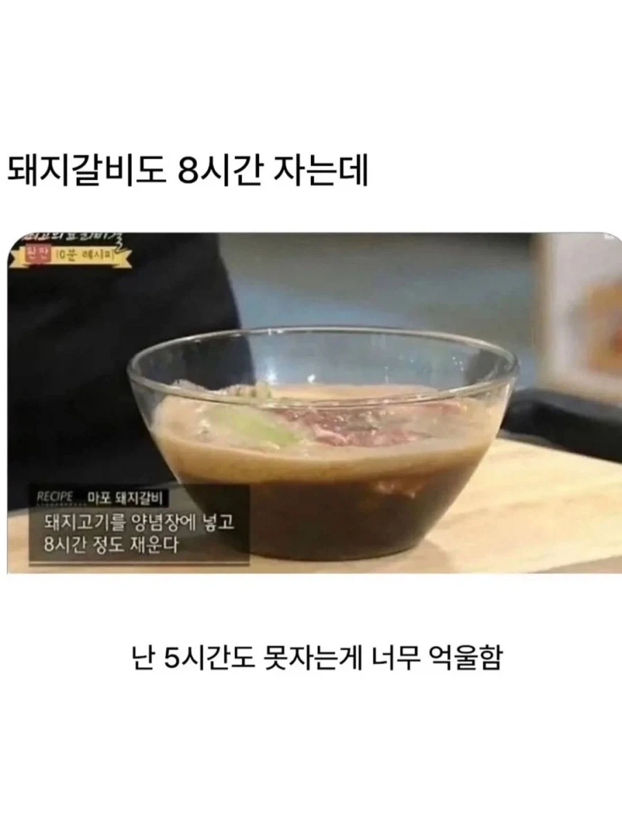 인간보다 더 잘자는 것_1.webp