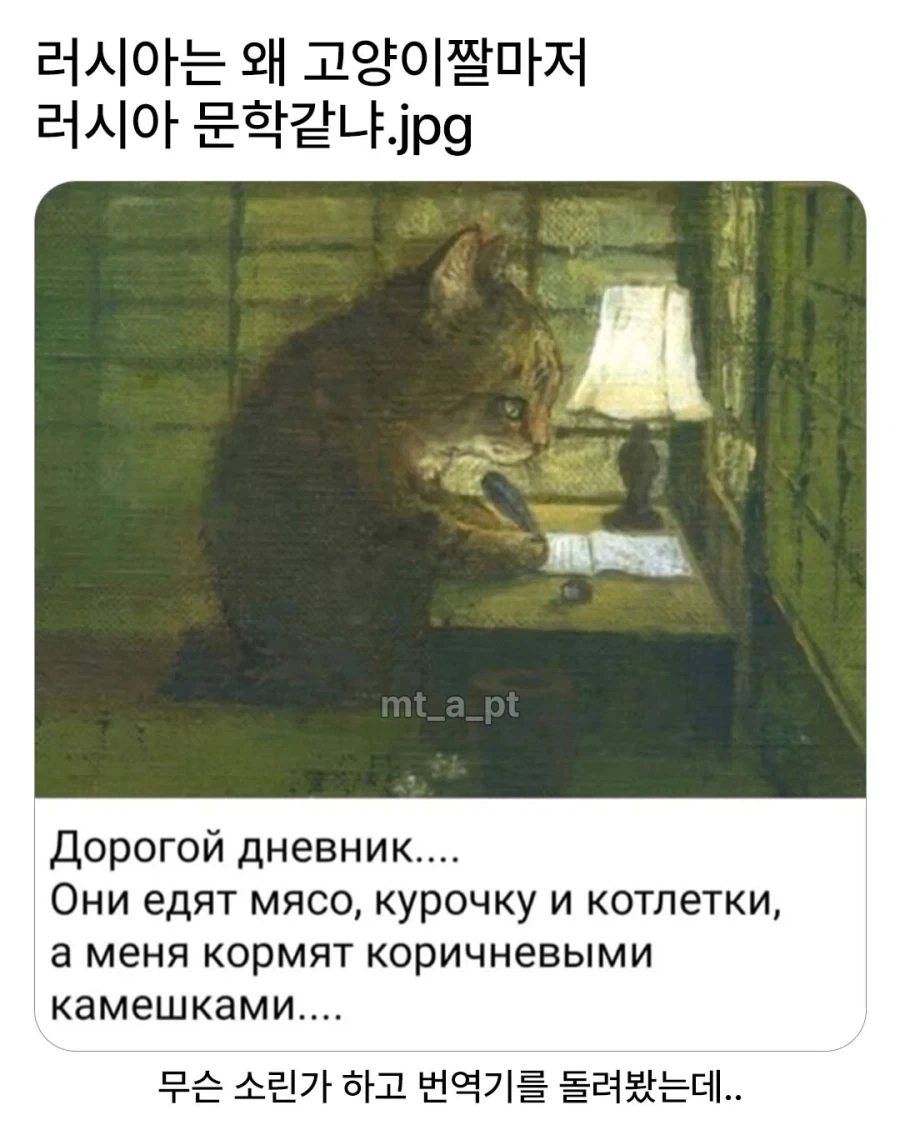 러시아 문학 고앵이_1.webp