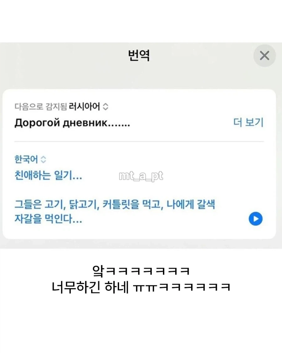 러시아 문학 고앵이_2.webp