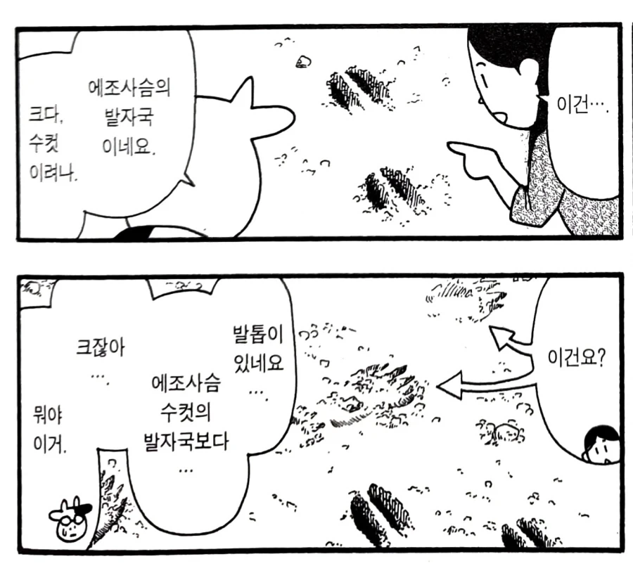 일본 곰 출몰지역에서 사는 기분_1.webp