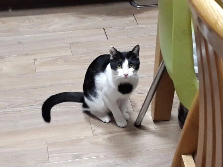 img/22/02/26/17f346cc1034aac04.jpeg
