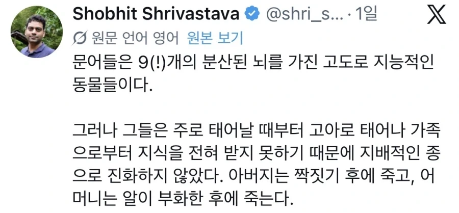 문어가 고지능 동물이면서 지배적인 종이 못되는 이유_1.webp