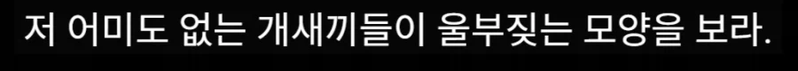 스벅 옹호하는 벌레들의 모습이_1.webp