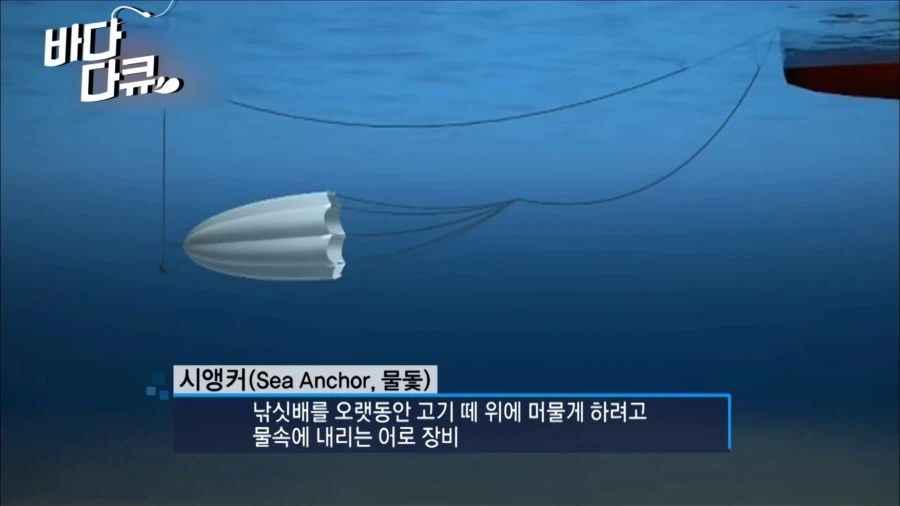 흔한 대왕오징어 잡는 방법.jpg_13.webp
