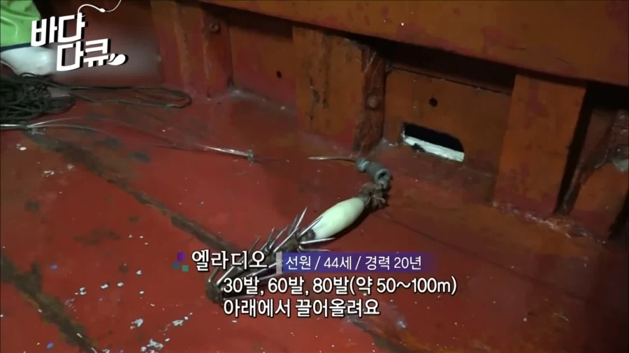 흔한 대왕오징어 잡는 방법.jpg_29.webp