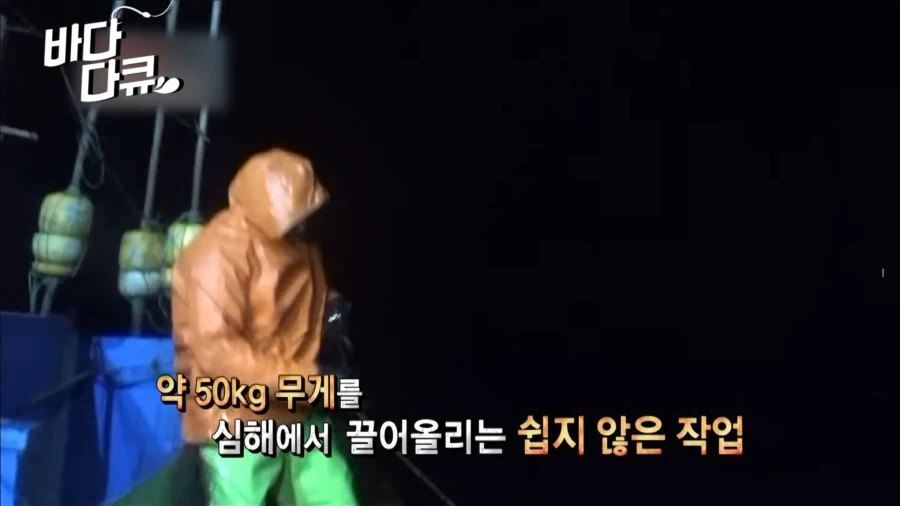 흔한 대왕오징어 잡는 방법.jpg_41.webp