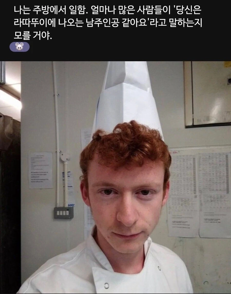 식당에 쥐 나오는 거 아니냐고 계속 의심받은 요리사.jpg_2.webp