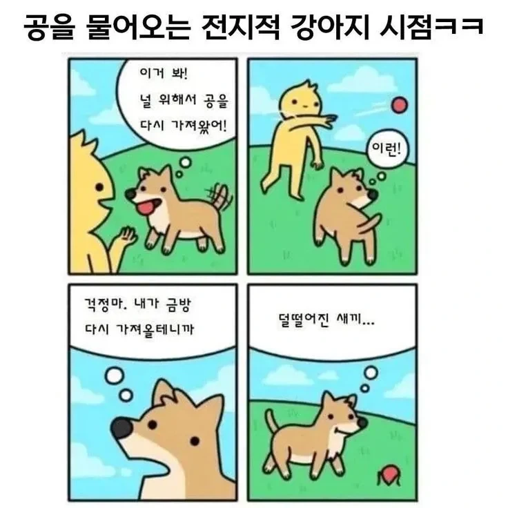 개:그래도 못난 주인놈을 사랑하마.jpg_1.webp