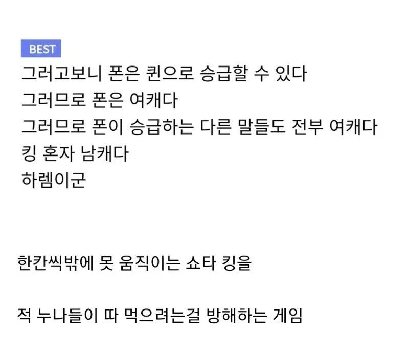 체스 속담은 이렇게도 해석이 가능하지.jpg_3.webp