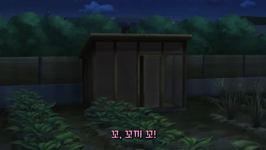 암탉과 수탉이 섹쓰 하는 사진.jpg_1.webp