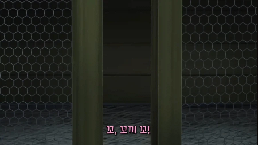 암탉과 수탉이 섹쓰 하는 사진.jpg_2.webp