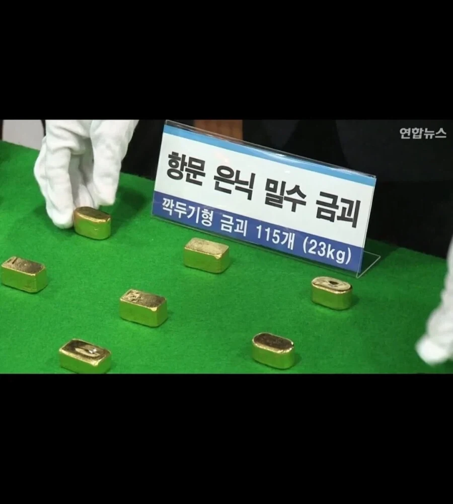 사람 장기가 비싼이유.jpg_1.webp