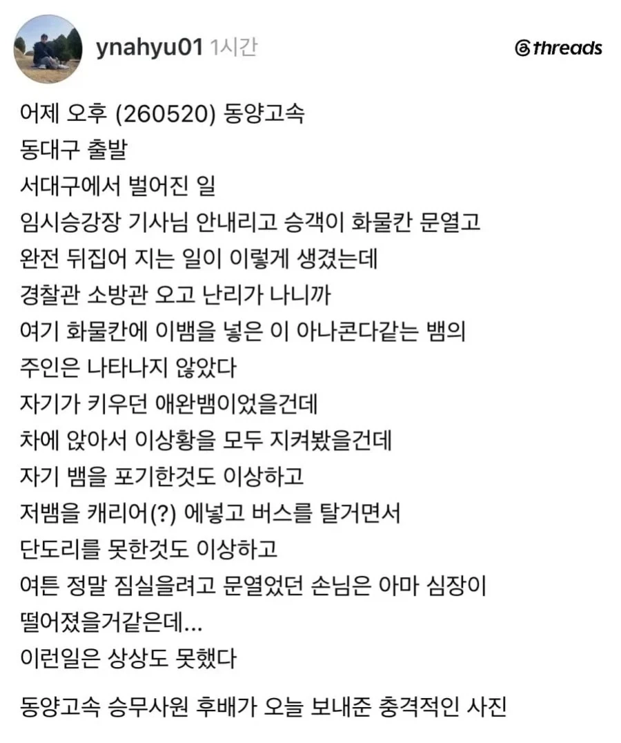 버스에서 뱀이 튀어 나옴_1.webp