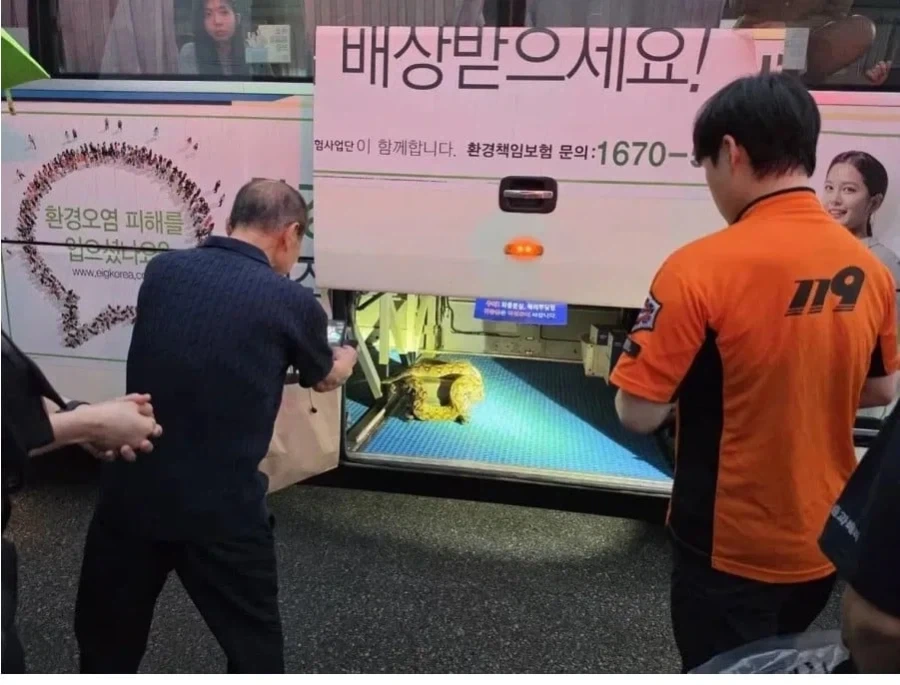 버스에서 뱀이 튀어 나옴_3.webp