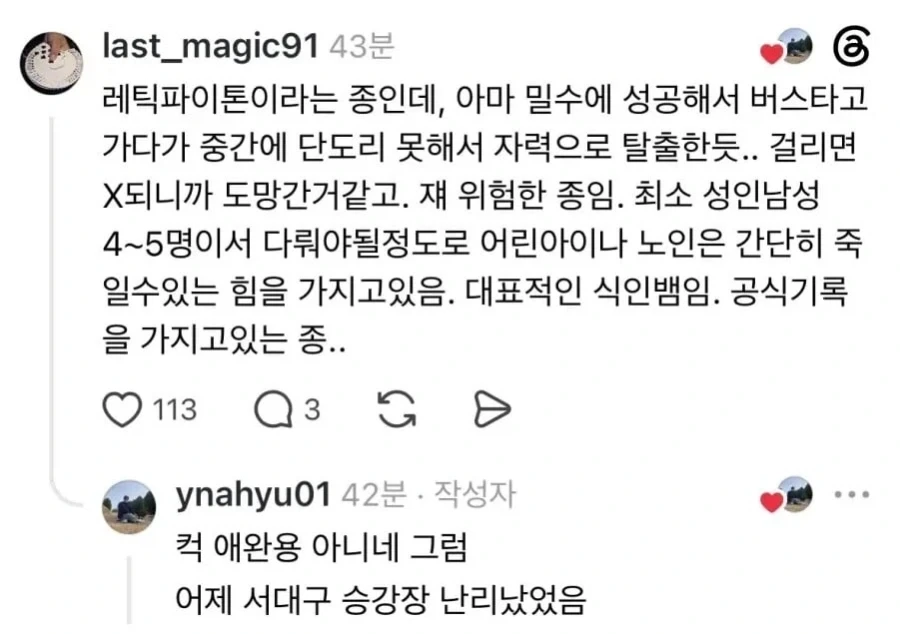 버스에서 뱀이 튀어 나옴_5.webp