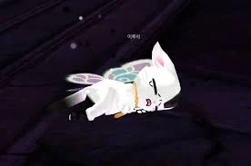 마비노기)그 옛날 맨날구슬 뜯기던 고양이_1.webp