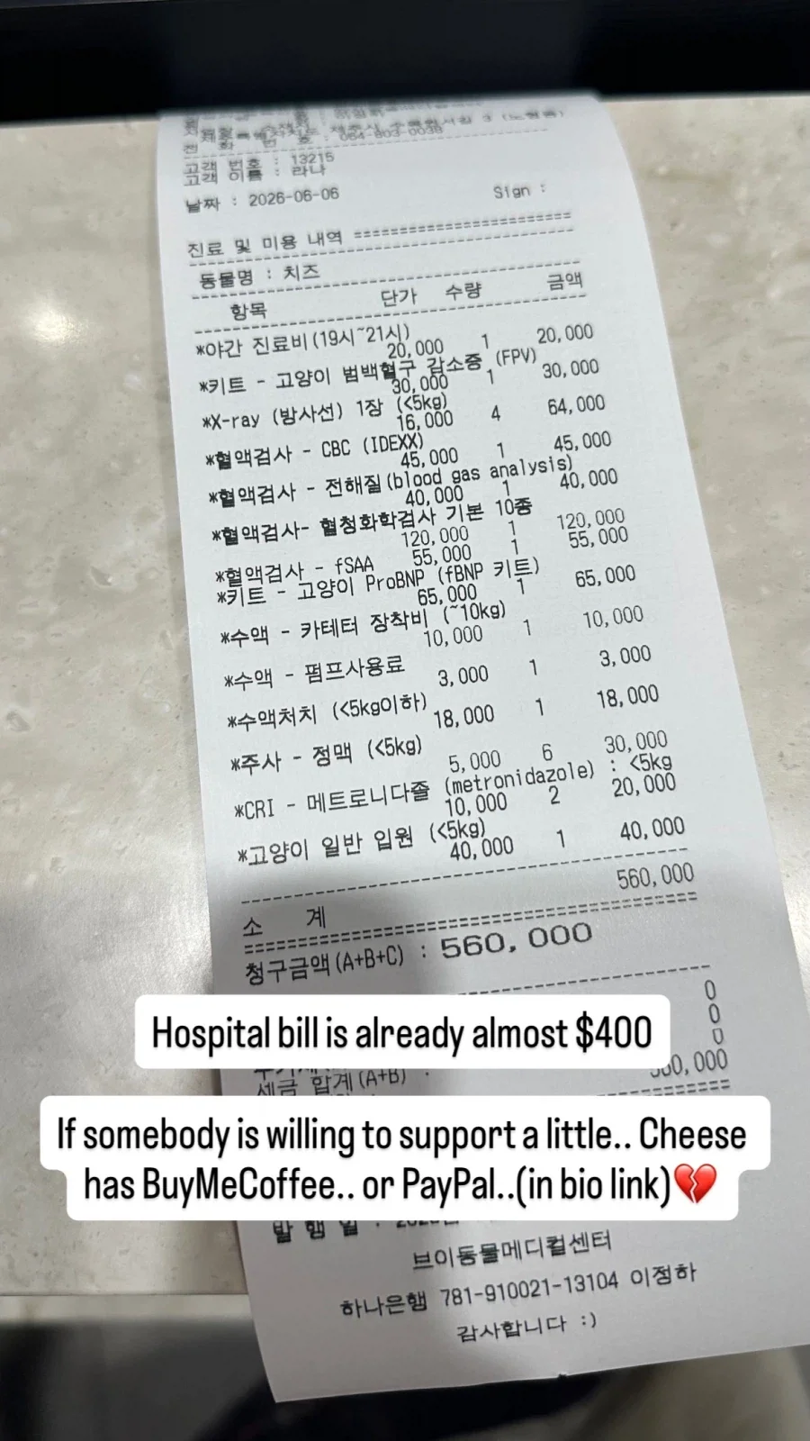 귀여운 고양이를 키운다는건_1.webp