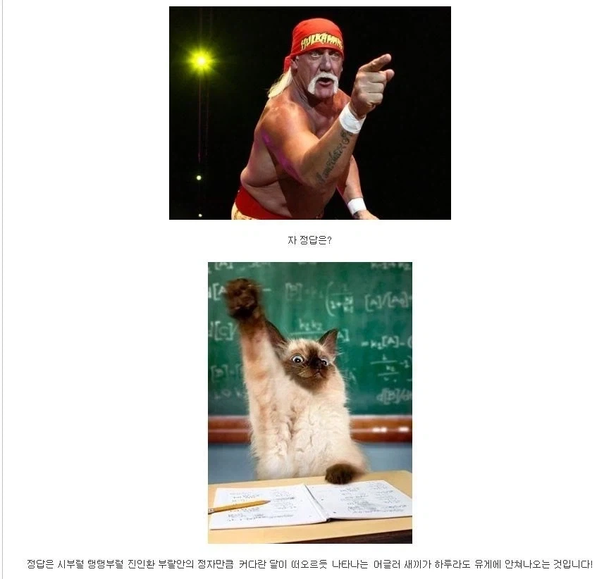 전설의 빌런 괴도자지의 필력_4.webp