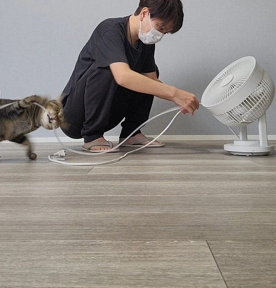 선풍기 전원선에 단선방지 커버 감는 이유.jpg_1.webp