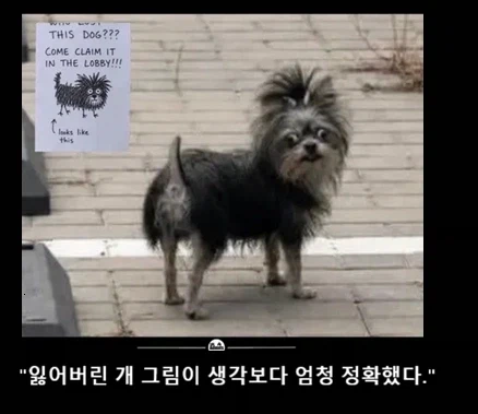 잃어버린 개 그림이 엄청 정확했다._1.webp