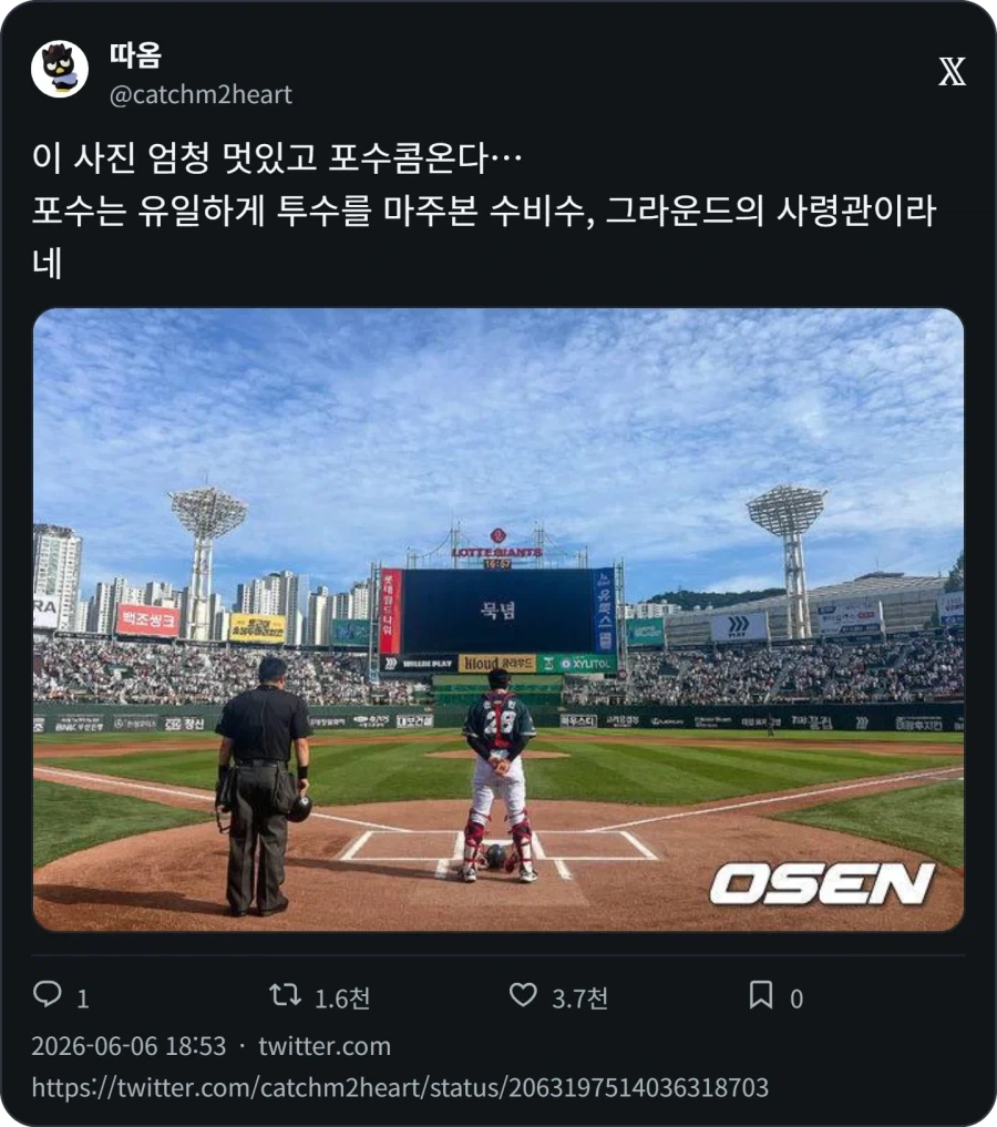아빠, 홈런공 잡아주라_1.webp