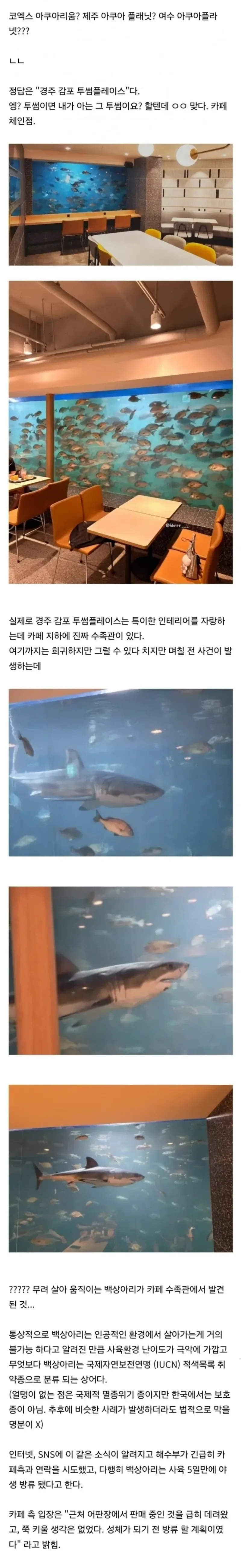 5일간 전세계 1위급이었던 한국 수족관_1.webp