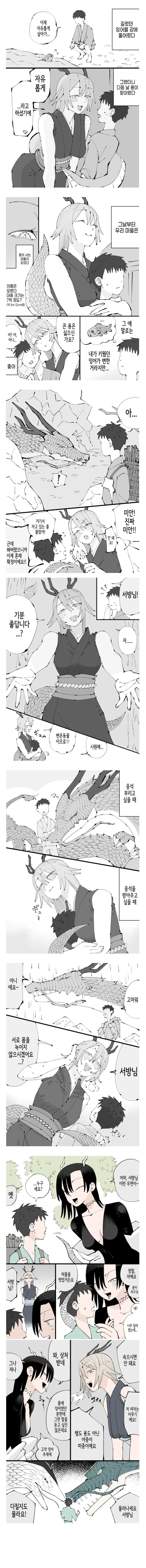 방생해준 잉어가 용이 되어 돌아온 만화_1.jpg