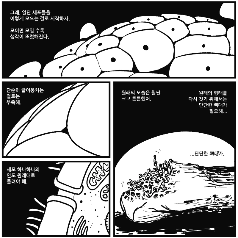 manga_455158_002.webp