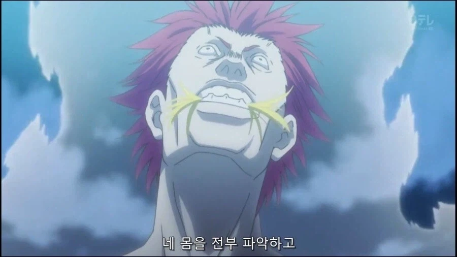 헌터헌터 무도가로 상대해줬으면 한다 원작과 애니_7.webp