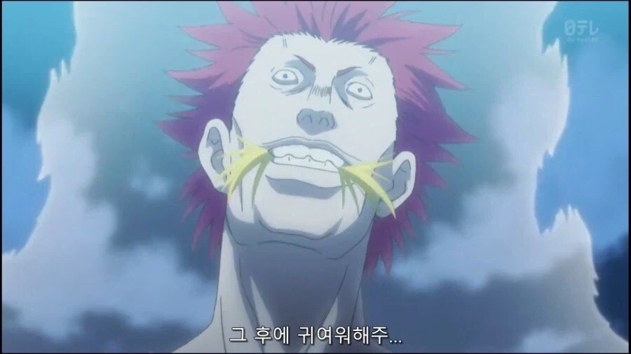 헌터헌터 무도가로 상대해줬으면 한다 원작과 애니_8.webp