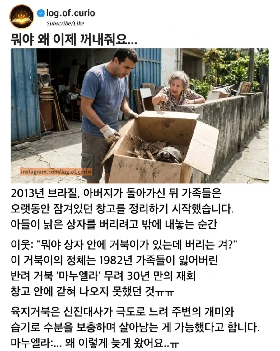 30년 만에 발견한 애완거북_1.webp