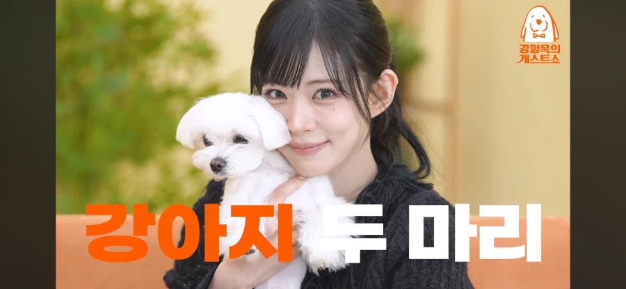 나 솔직히 이쁜 누나 짤에 댓글로_1.webp