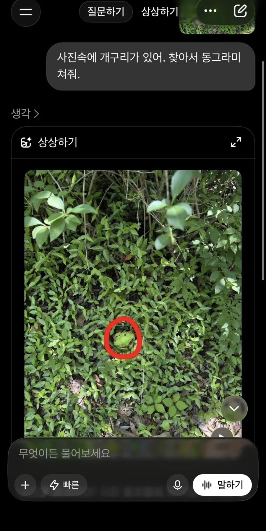 ai야 숨어있는 개구리를 찾아줘!_2.webp
