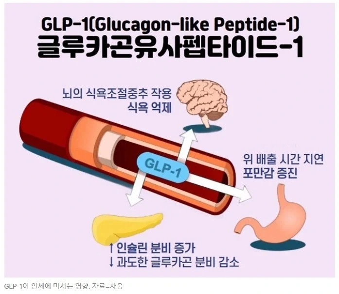 의사가 추천하는 천연위고비_5.webp
