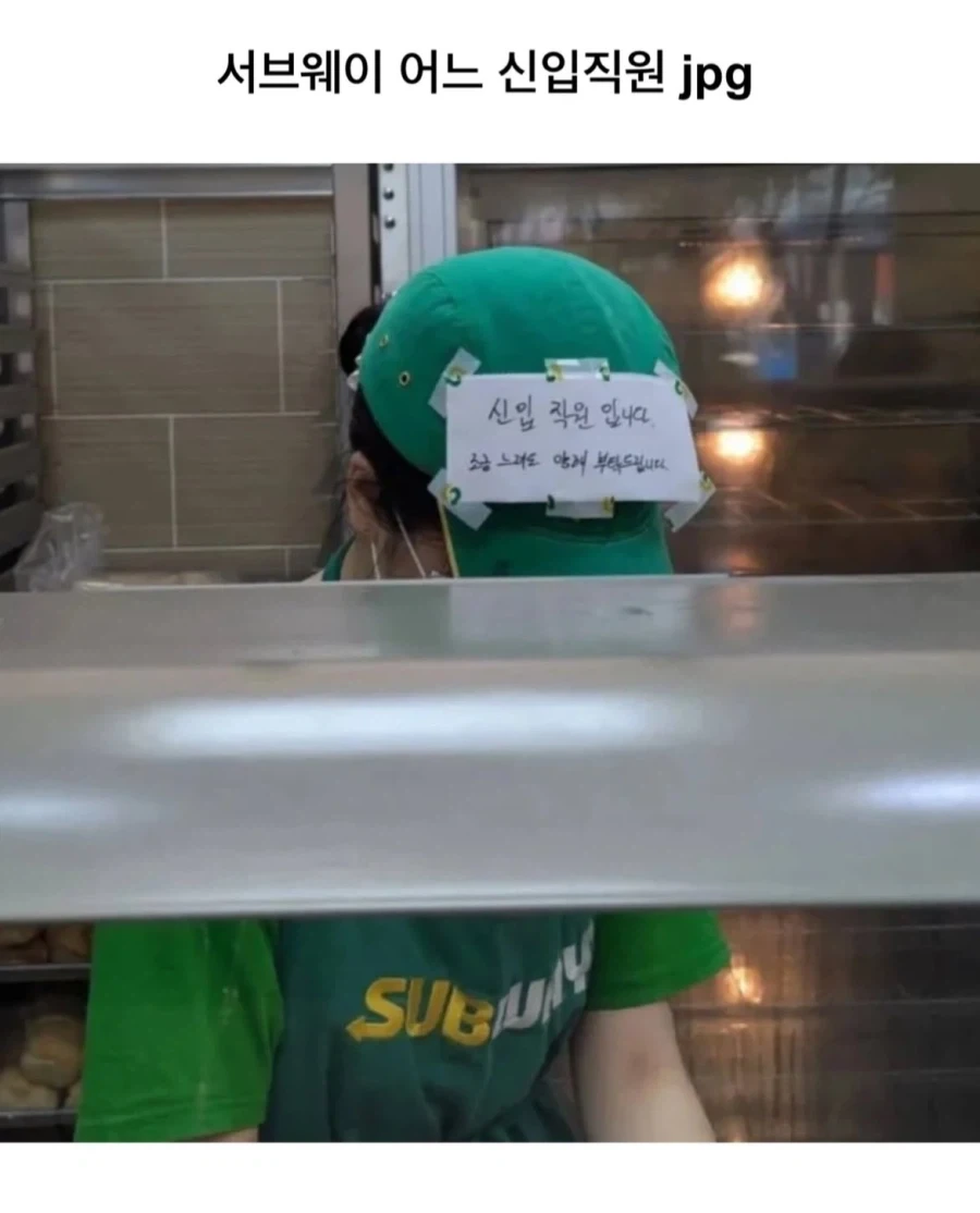 뉴비 보호 쉴드_1.webp