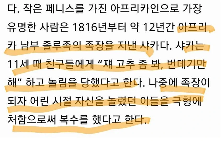 문명에도 나오는 아프리카 줄루족의 지도자 샤카가 유명했던 점.jpg_2.webp