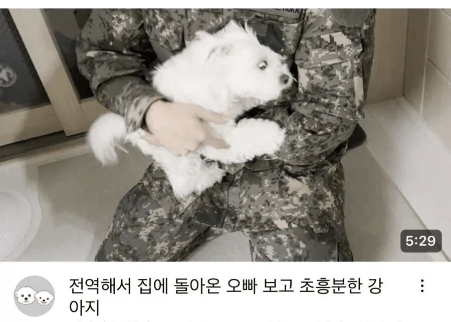 군대간 오빠를 기다리는 강아지.jpg_3.webp